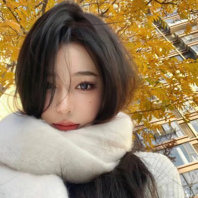 报告老板第二季
